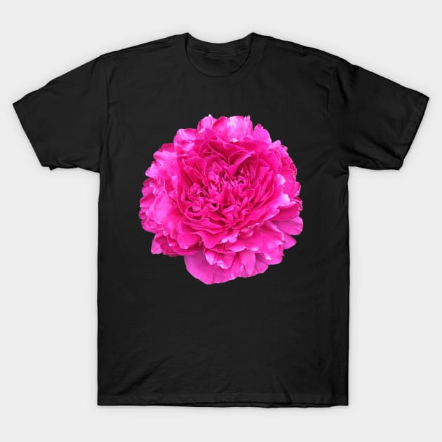 Bright Pink Peony in Full Bloom T-Shirt by InalterataArt